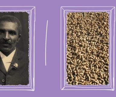 the inventor of peanut butter